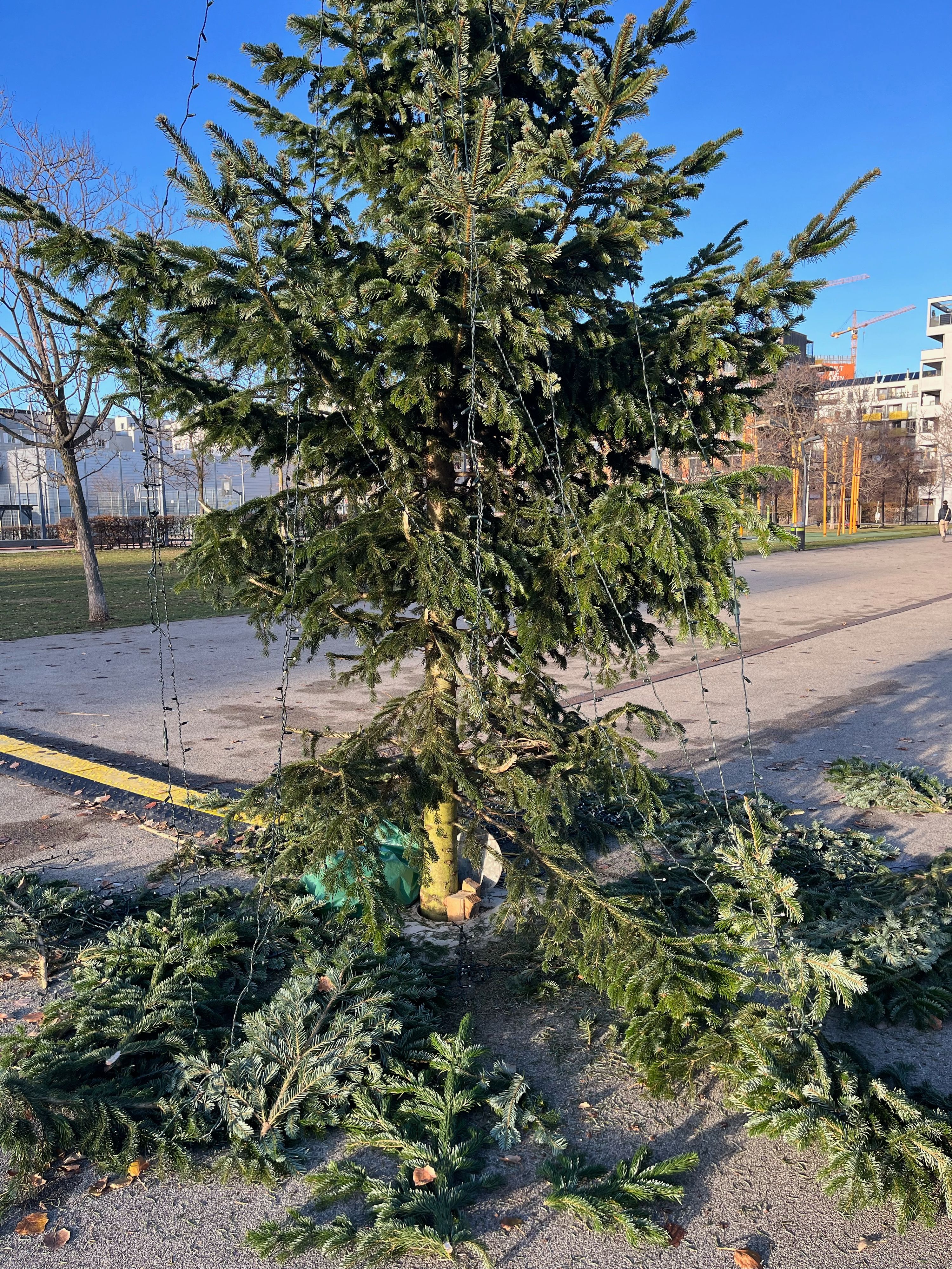 Christbaum wurde in Wien-Leopoldstadt demoliert.
