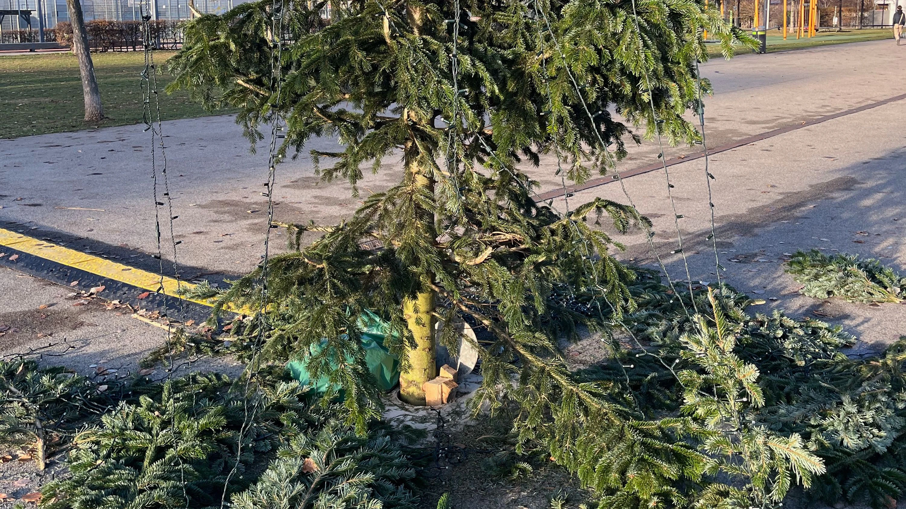Christbaum wurde in Wien-Leopoldstadt demoliert.