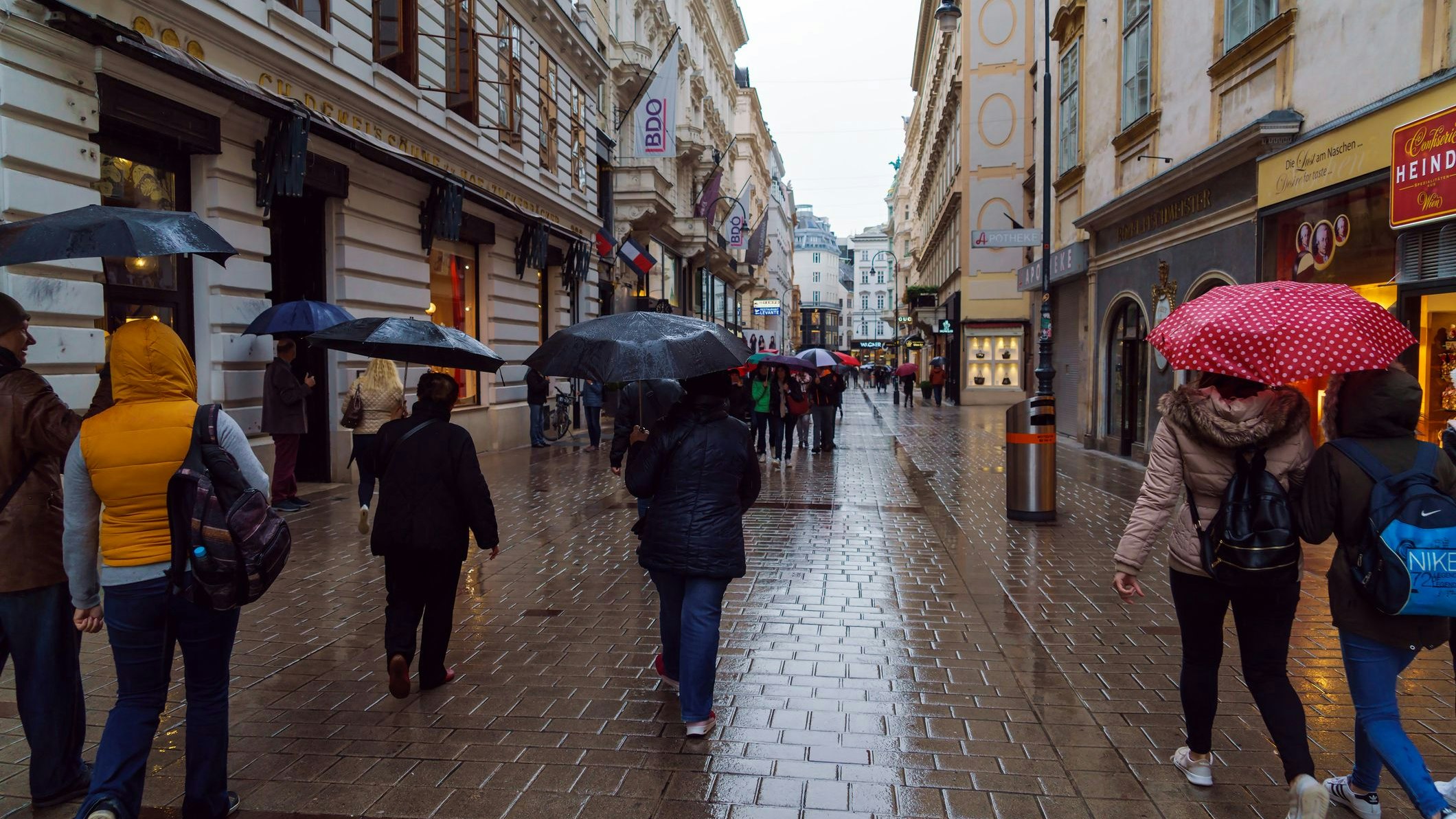 Von Schnee keine Spur mehr – in Wien ist es unglaublich warm.