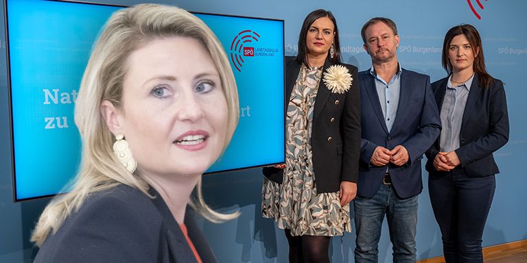 Frauenministerin Susanne Raab (VP) steht in der Kritik.