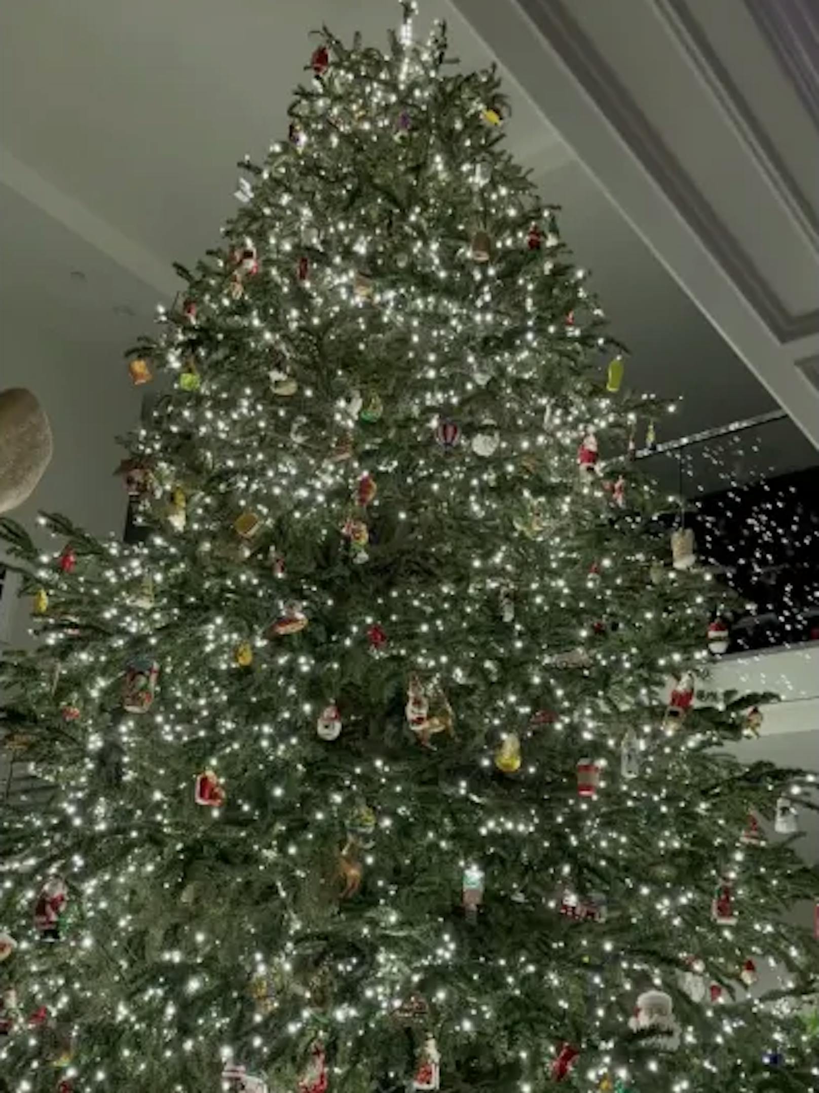 Kylie Jenner hat sich dieses Jahr für einen traditionellen Weihnachtsbaum entschieden.
