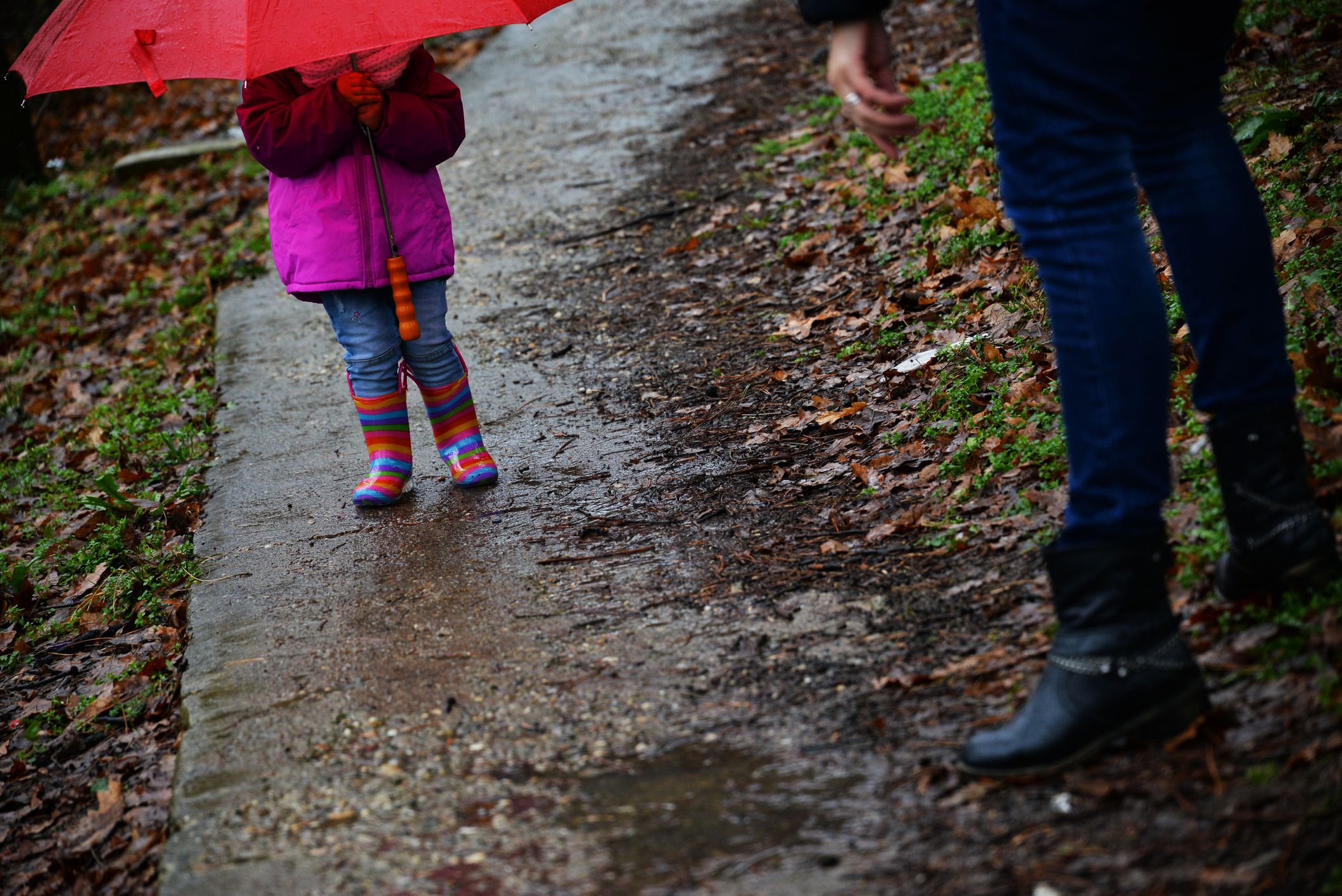 Der Schüler war auf dem Weg nach Hause, als der Vorfall passierte.