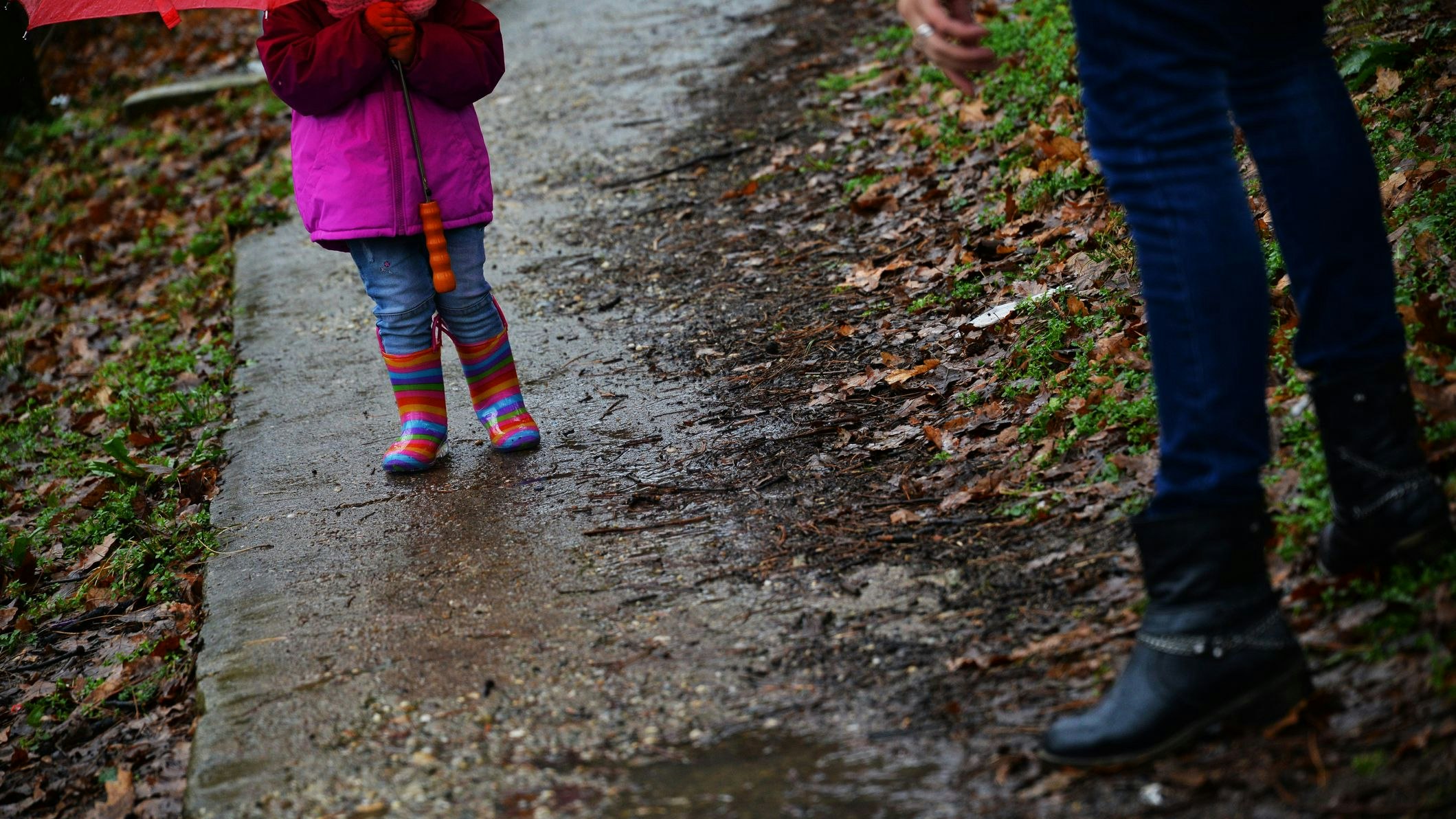 Der Schüler war auf dem Weg nach Hause, als der Vorfall passierte.
