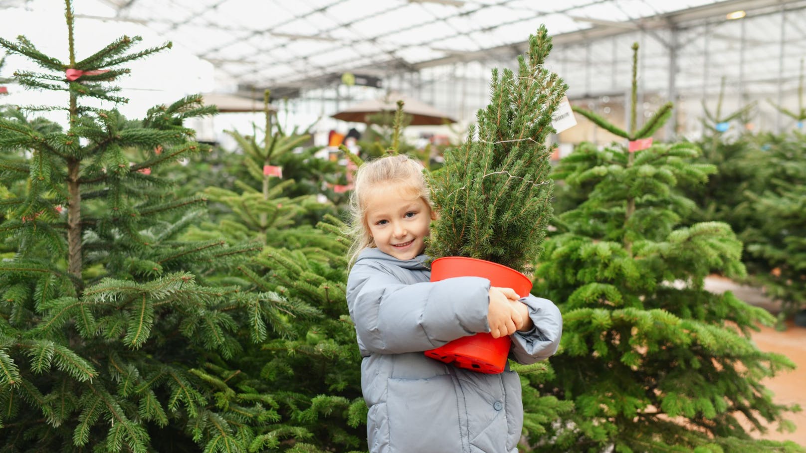 So geht Feiern und Umwelt schonen zu Weihnachten