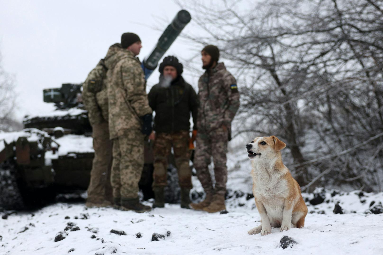 Immer wieder erhalten die ukrainischen Soldaten in ihren Stellungen auch tierischen Besuch...