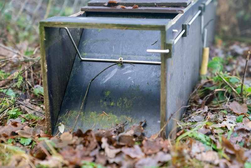 Gleich sechs verschiedene Lebendfallen wurden neben einer toten Katze in OÖ entdeckt. 