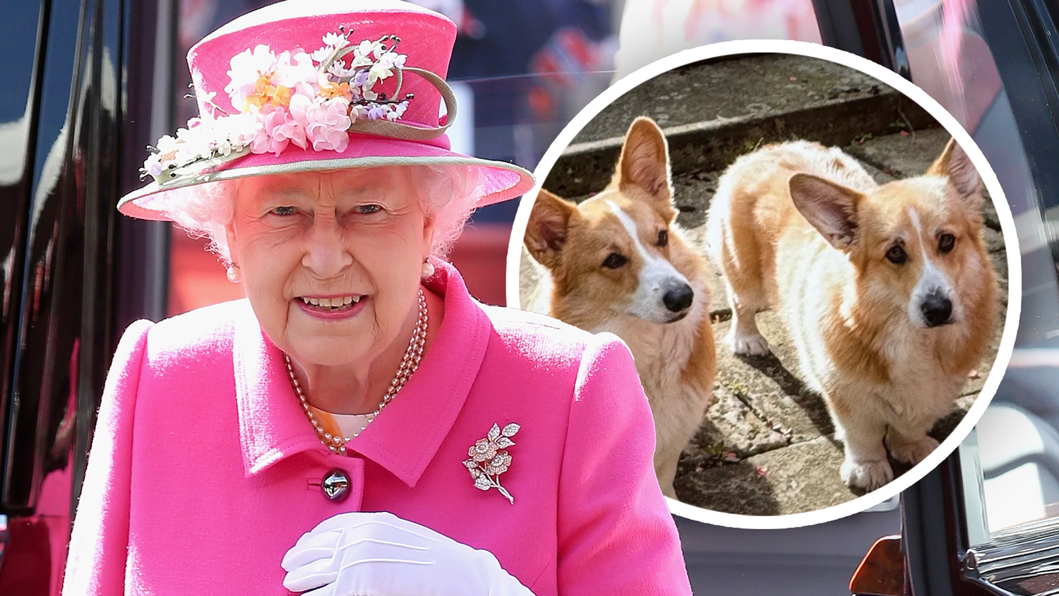 Die Queen war bekannt dafür, eine große Tierliebhaberin zu sein.