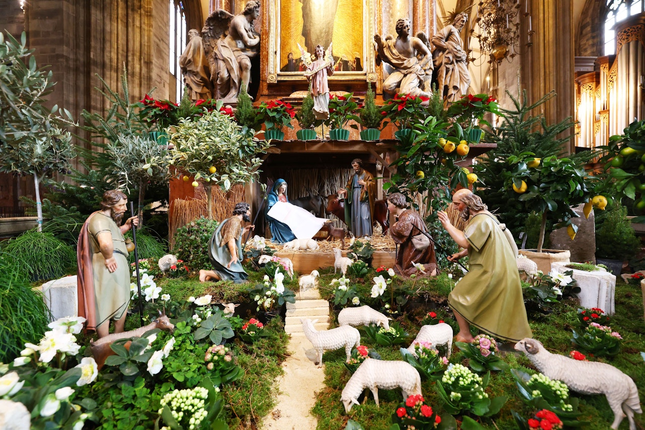 Zu Weihnachten Festliche Krippe im Stephansdom aufgebaut Wien heute.at