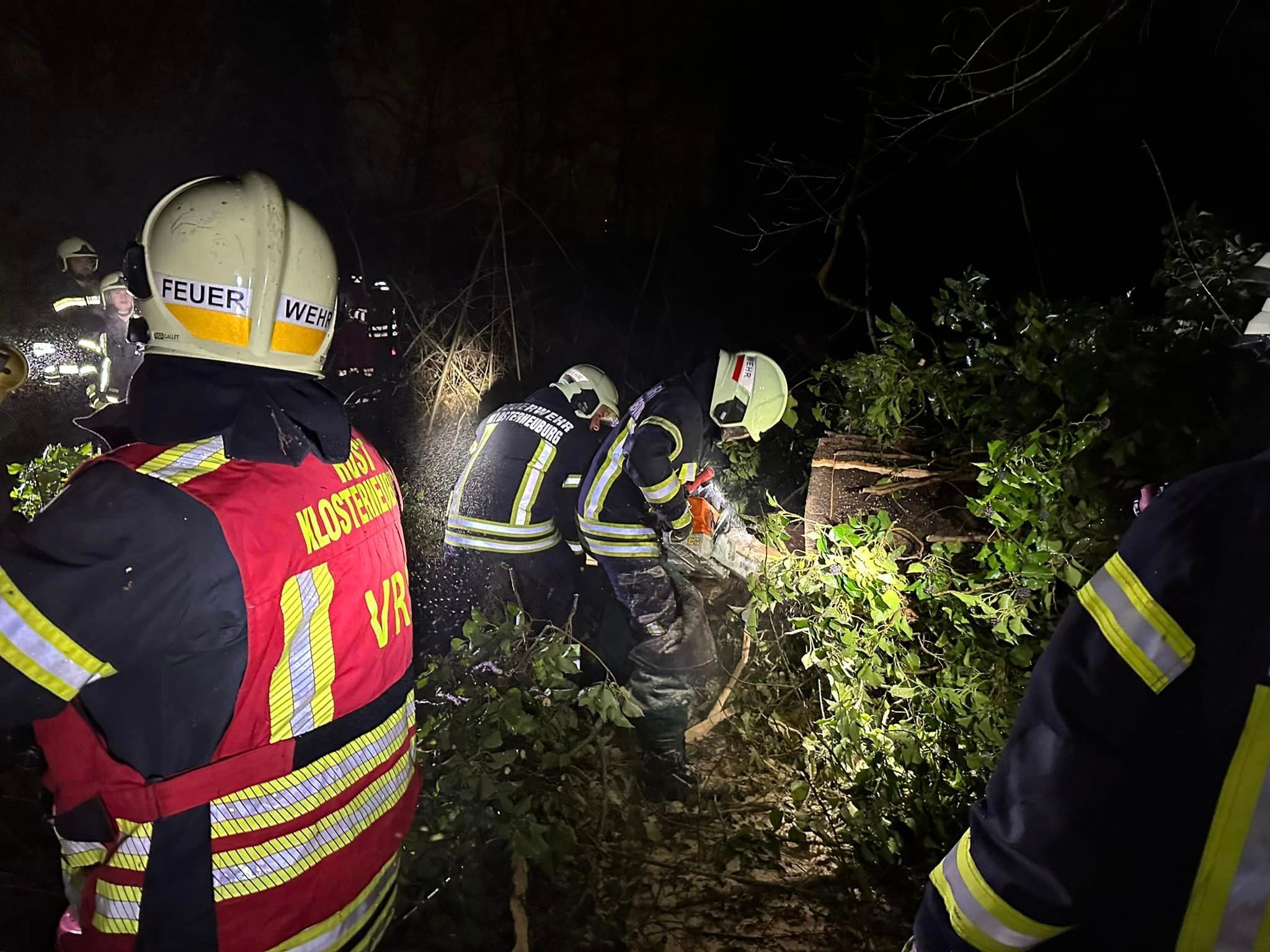 Der Baum krachte auf einen Hochstand, ein Mann starb.