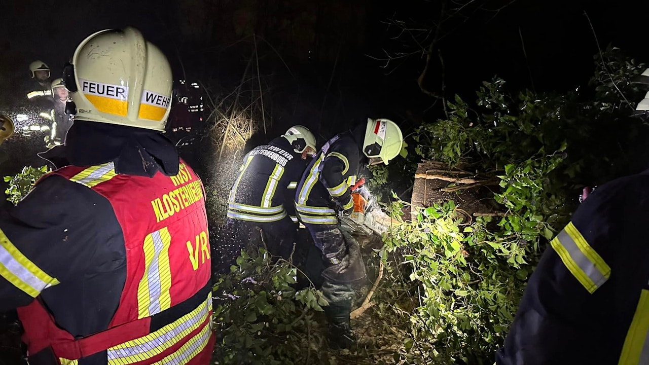 Heute.at - Baum stürzte auf Hochstand - Jäger tot