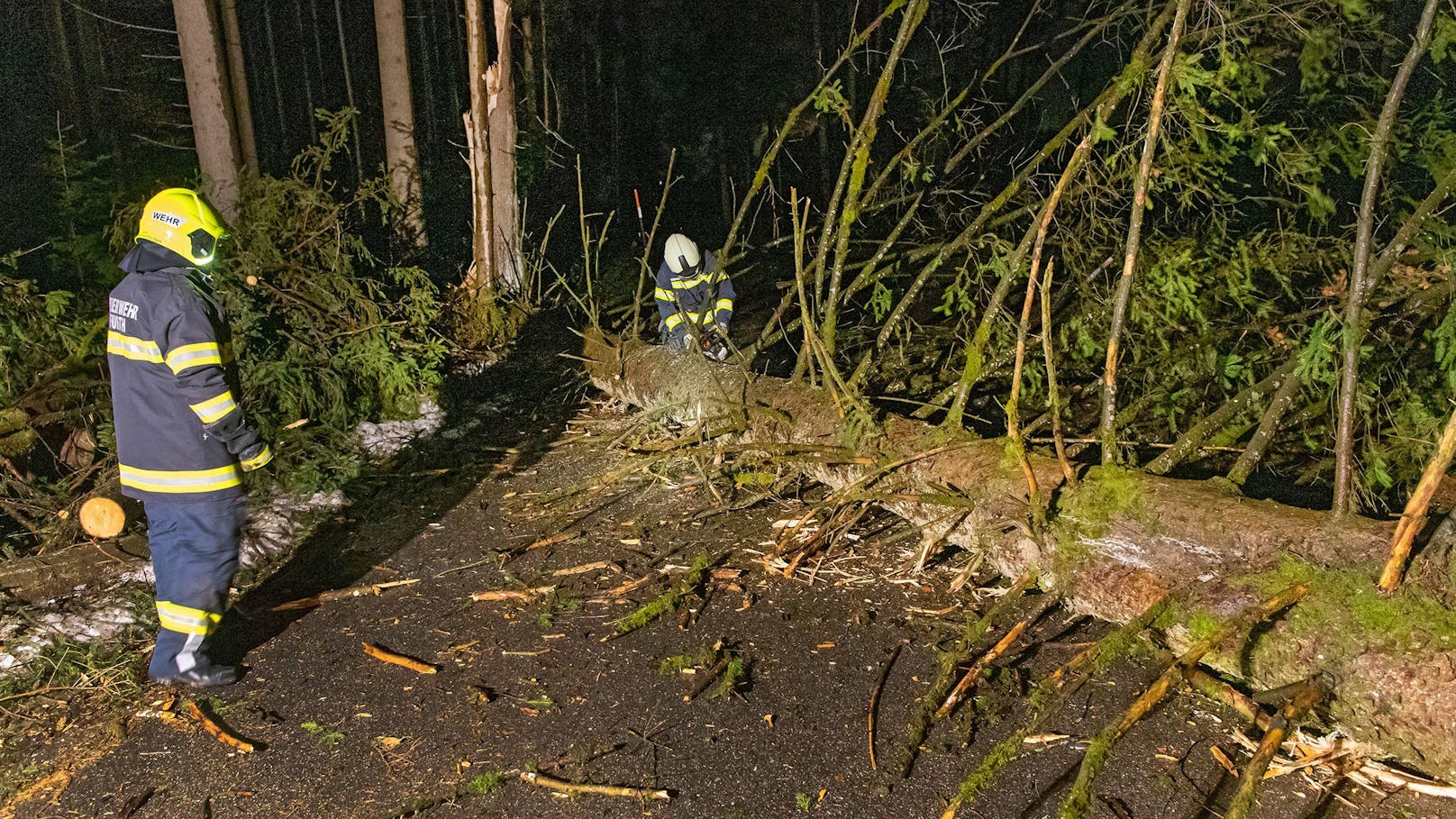 Viele durch den Sturm umgestürzte Bäume mussten von den Straßen geräumt werden, so wie hier auf der Straße zwischen Schalchen und Pischelsdorf, Gemeindegebiet Schalchen.