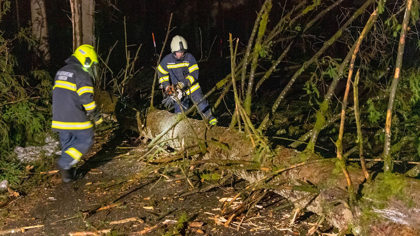 Das Sturmtief "Zoltan" hat schon zwischen Donnerstagabend und Freitagfrüh in Oberösterreich für zahlreiche Feuerwehreinsätze gesorgt.