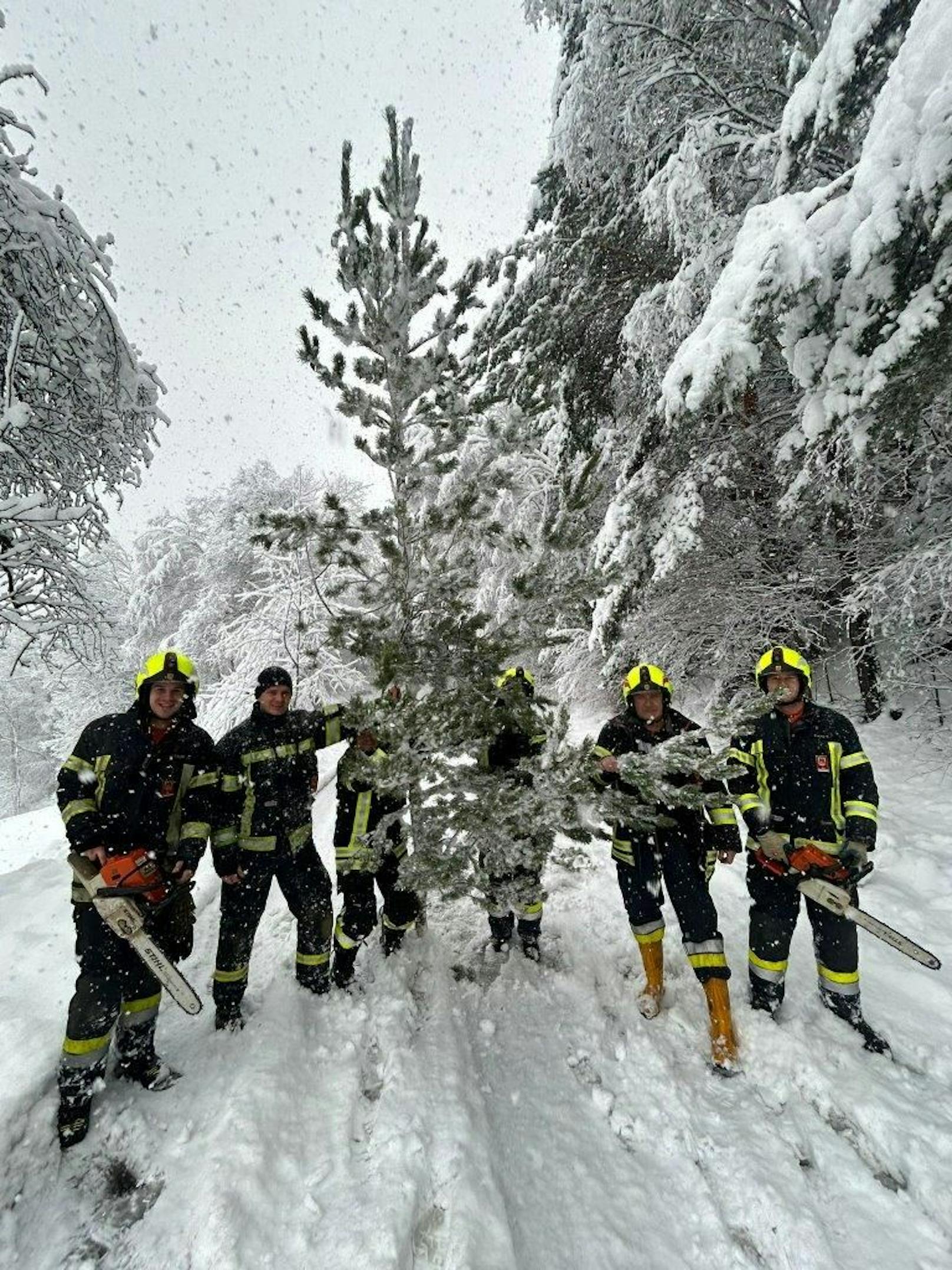 In den frühen Morgenstunden hat sich der Schneefall im Bezirk Neunkirchen (NÖ) intensiviert. Zahlreiche Feuerwehren standen im Einsatz.