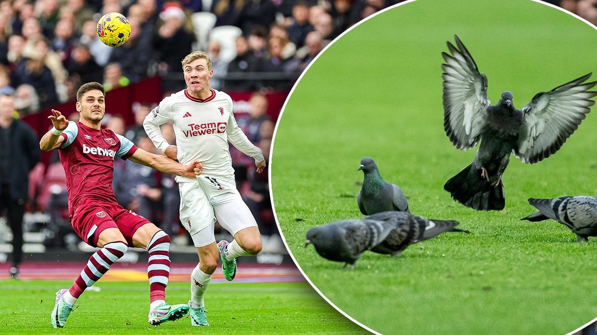 Die Tauben stahlen den Kickern die Show