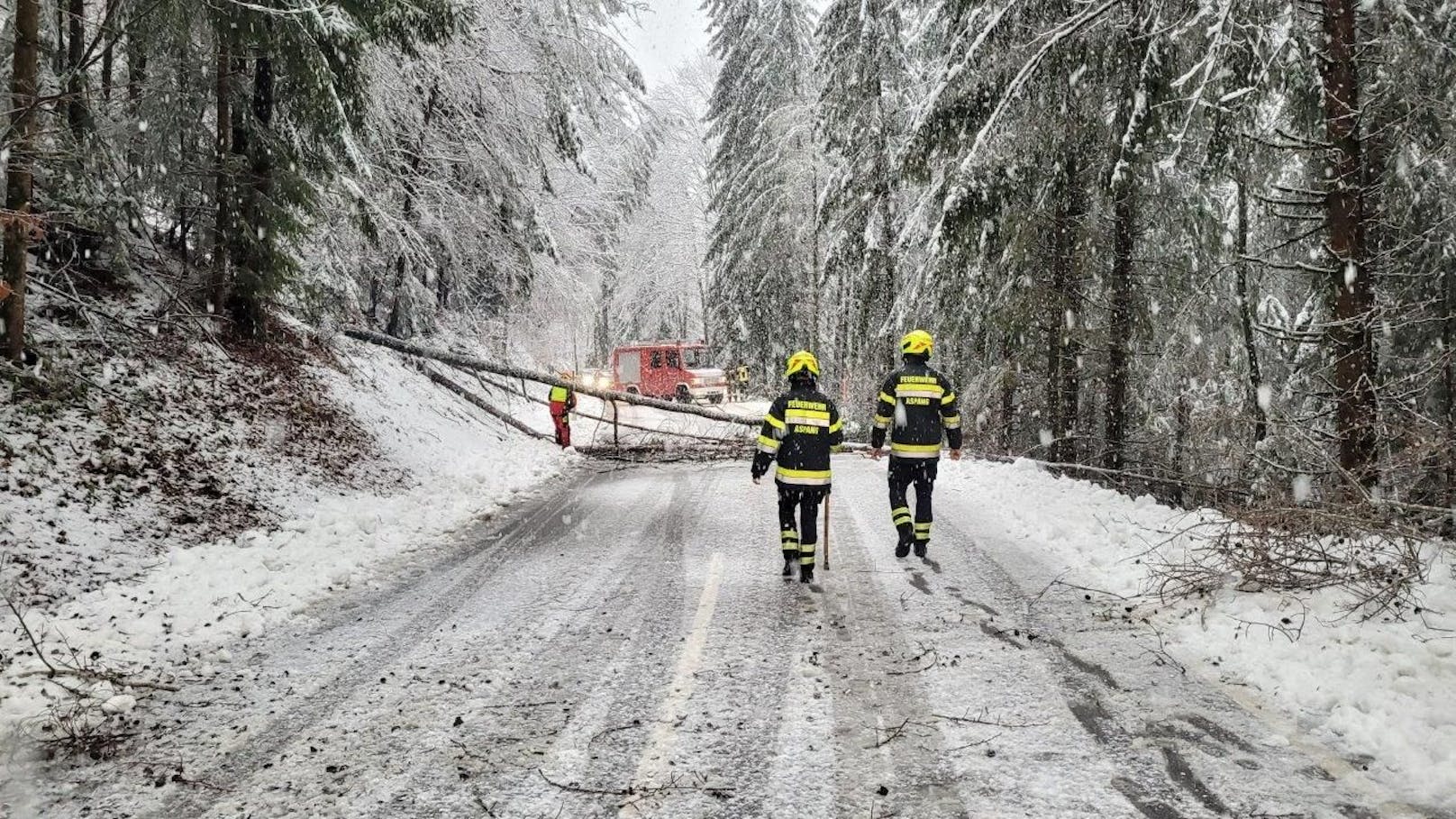 In den frühen Morgenstunden hat sich der Schneefall im Bezirk Neunkirchen (NÖ) intensiviert. Zahlreiche Feuerwehren standen im Einsatz.