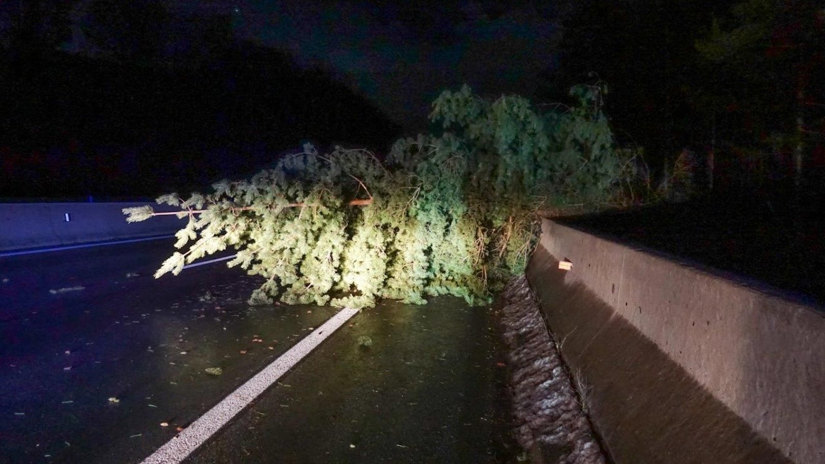 Es war die zweite einsatzintensive Nacht in Folge für zahlreiche Feuerwehren des Bezirkes Neunkirchen. Nachdem viele Feuerwehren am Freitag bereits im Einsatz aufgrund der Baumbrüche durch den Nassschnee, sowie Hochwasser und Verkehrsunfälle standen, forderte vergangene Nacht speziell der schwere Sturm viele Helfer ein weiteres Mal.