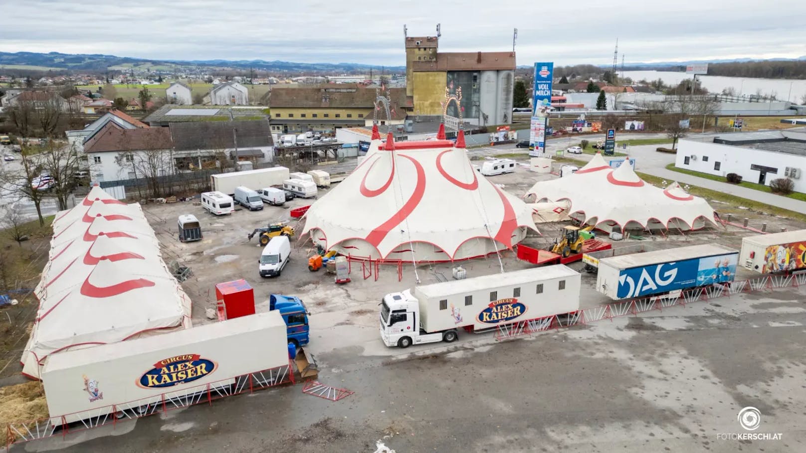 Ein Mann ließ am Samstag gegen 21:40 Uhr seinen Hund bei einem Zirkus im Bezirk Perg ohne Leine los, woraufhin der Hund vier Kamele an den Beinen verletzte.