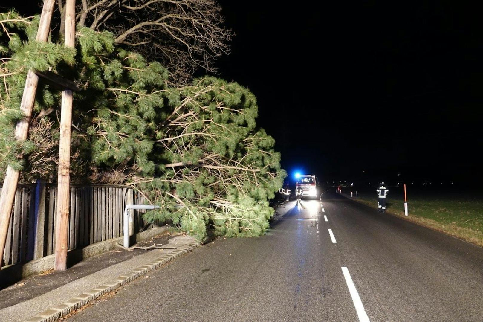 Es war die zweite einsatzintensive Nacht in Folge für zahlreiche Feuerwehren des Bezirkes Neunkirchen. Nachdem viele Feuerwehren am Freitag bereits im Einsatz aufgrund der Baumbrüche durch den Nassschnee, sowie Hochwasser und Verkehrsunfälle standen, forderte vergangene Nacht speziell der schwere Sturm viele Helfer ein weiteres Mal.