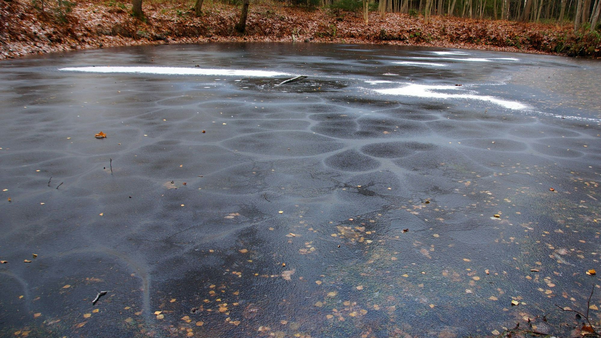 Ein Jugendlicher brach in einen gefrorenen Teich ein.