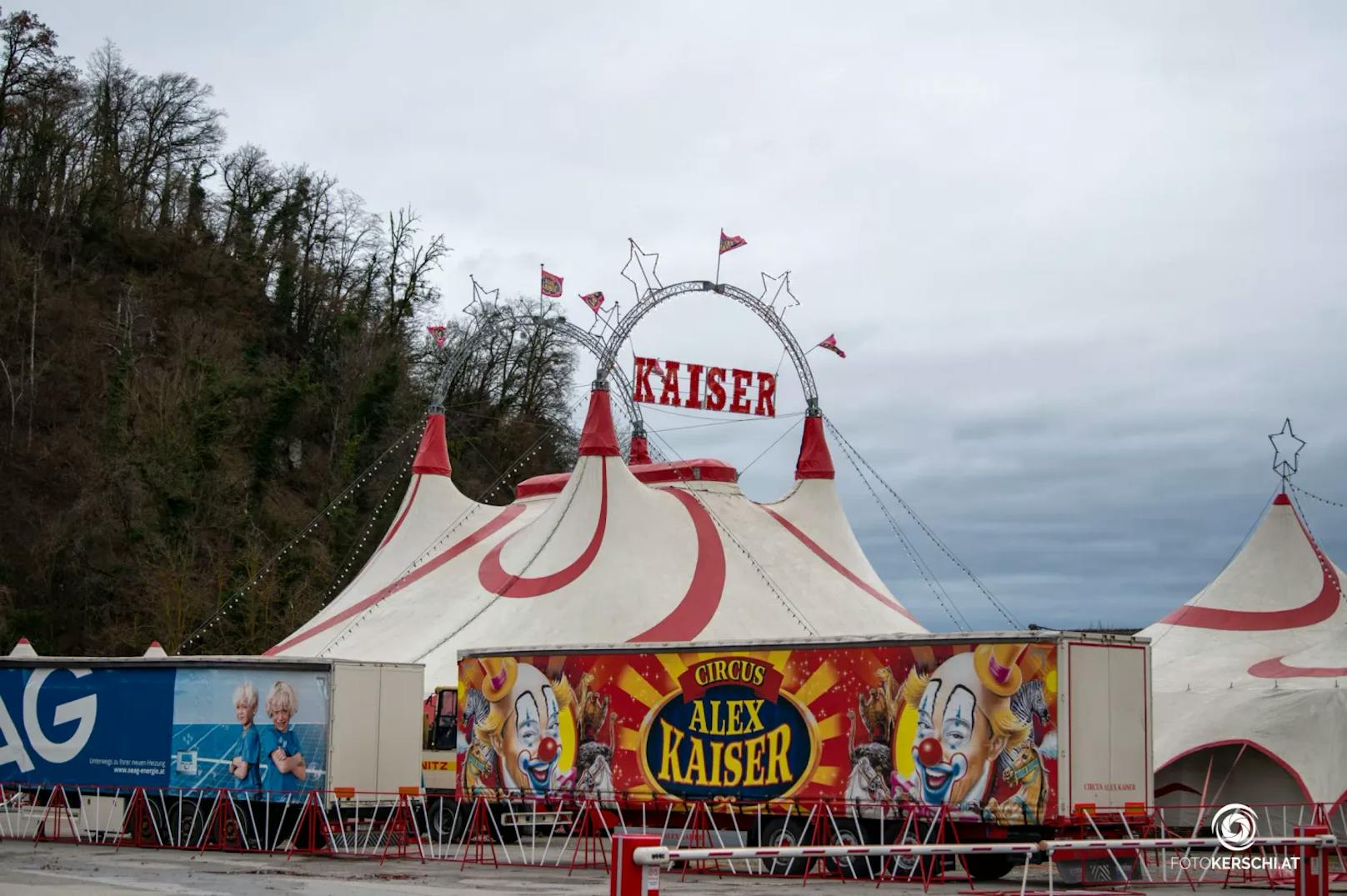 Ein Mann ließ am Samstag gegen 21:40 Uhr seinen Hund bei einem Zirkus im Bezirk Perg ohne Leine los, woraufhin der Hund vier Kamele an den Beinen verletzte.