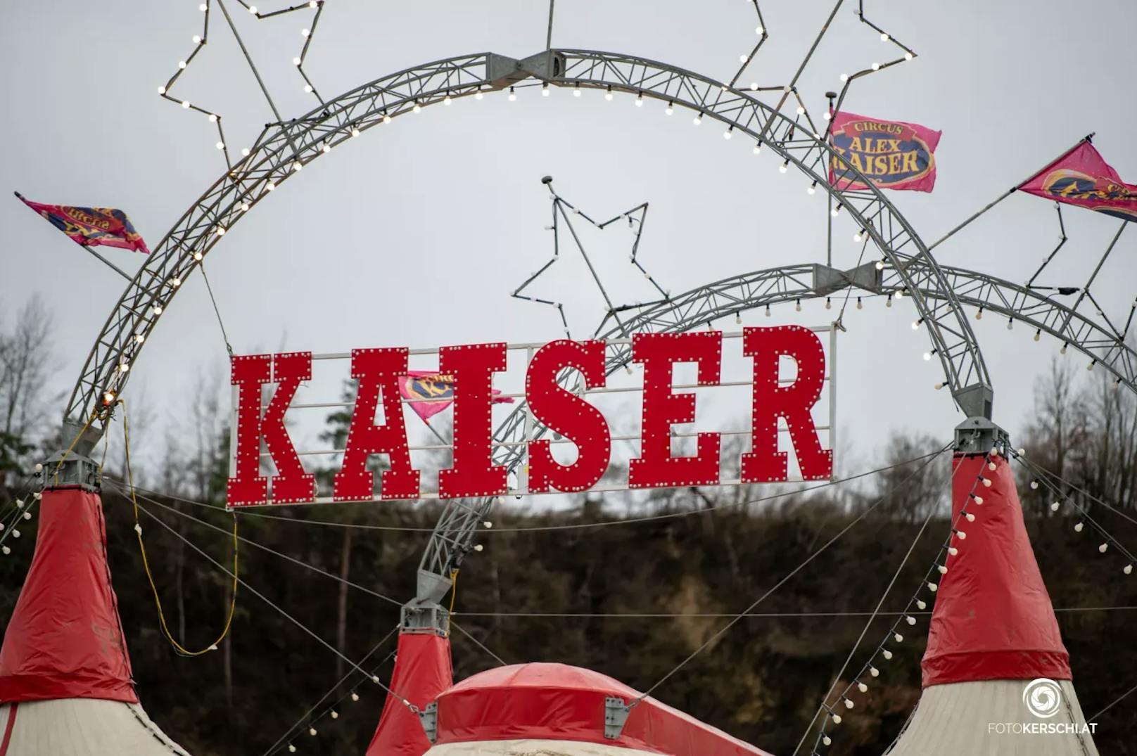 Ein Mann ließ am Samstag gegen 21:40 Uhr seinen Hund bei einem Zirkus im Bezirk Perg ohne Leine los, woraufhin der Hund vier Kamele an den Beinen verletzte.