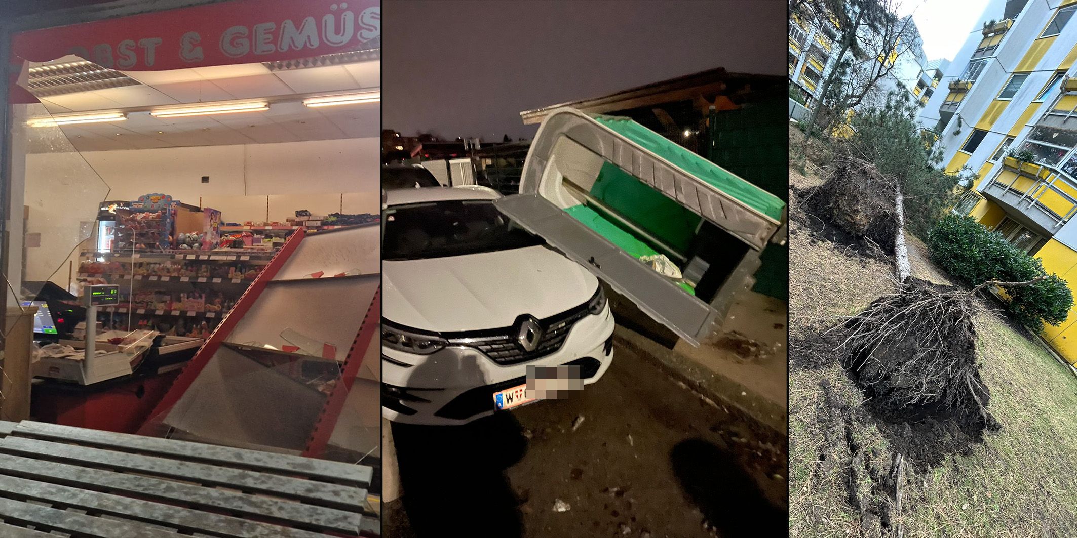 Ein heftiger Wind sorgte am Samstagabend für Chaos in Wien. 