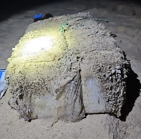 Die Polizei von New South Wales in Australien veröffentlichte ein Bild eines mit Seepocken übersäten Pakets.