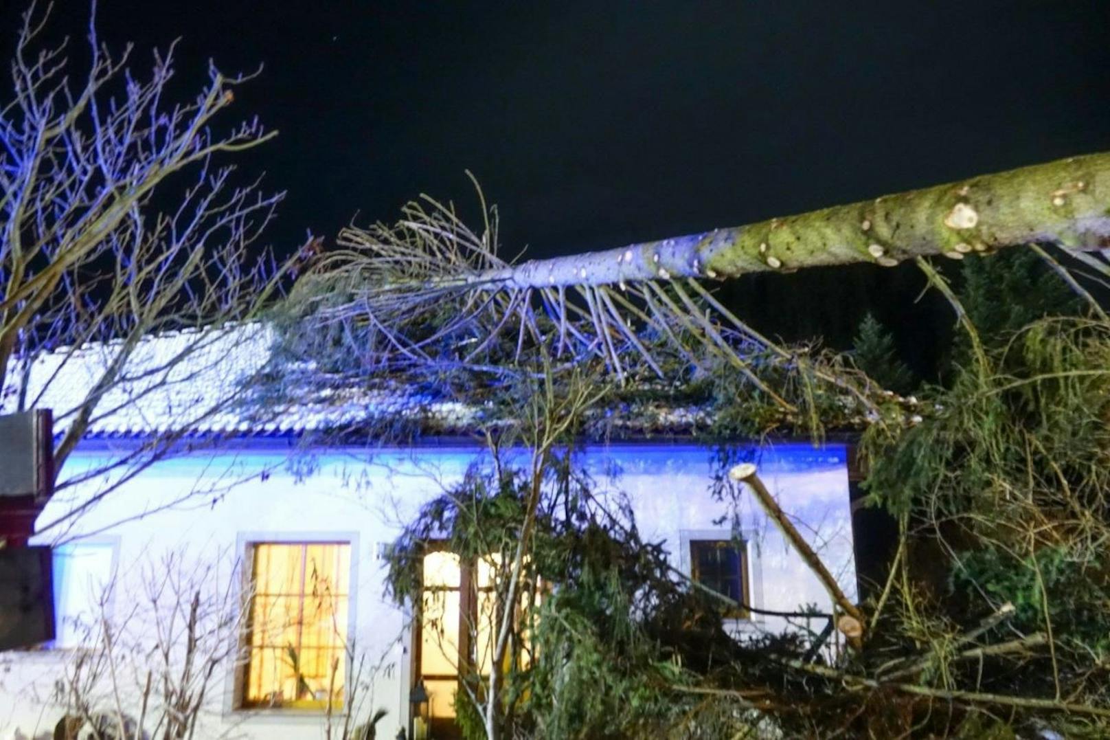 Es war die zweite einsatzintensive Nacht in Folge für zahlreiche Feuerwehren des Bezirkes Neunkirchen. Nachdem viele Feuerwehren am Freitag bereits im Einsatz aufgrund der Baumbrüche durch den Nassschnee, sowie Hochwasser und Verkehrsunfälle standen, forderte vergangene Nacht speziell der schwere Sturm viele Helfer ein weiteres Mal.