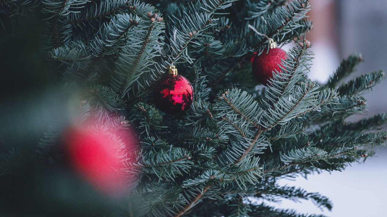Heute.at - 18 Grad! Wärmster Christtag seit Messbeginn