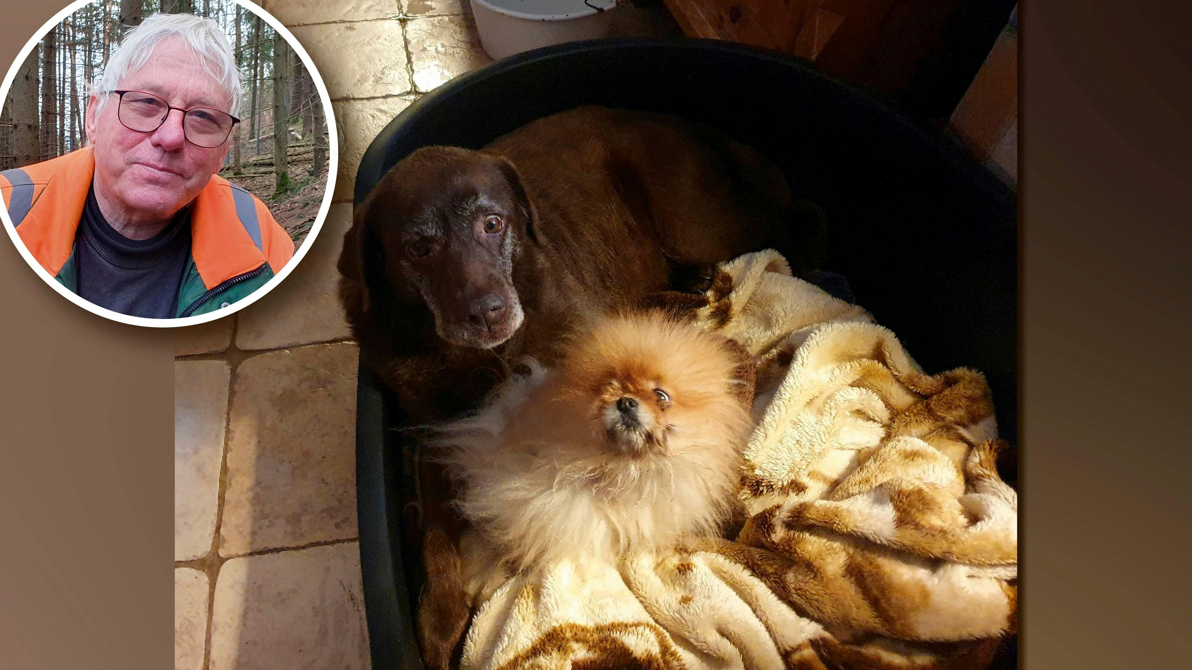 Leyla und Tue Tue genießen ihr neues Zuhause im Tierparadies Schabenreith.