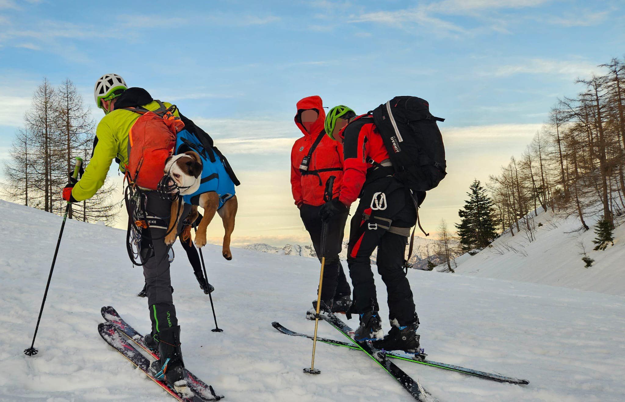 Die Bulldogge war im Bezirk Gmunden in unwegsames Gelände gefallen. Bergretter bargen sie.
