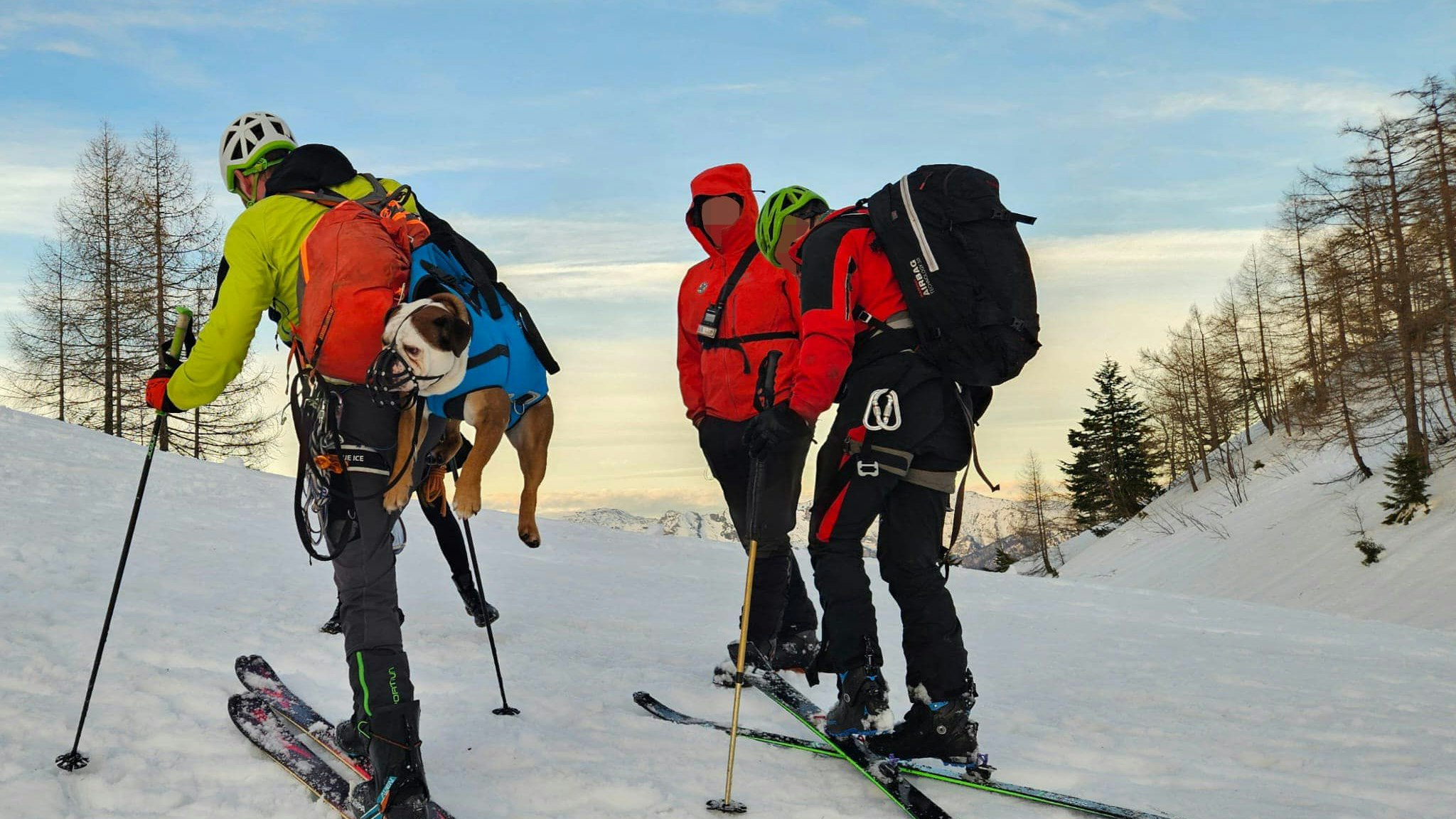 Die Bulldogge war im Bezirk Gmunden in unwegsames Gelände gefallen. Bergretter bargen sie.