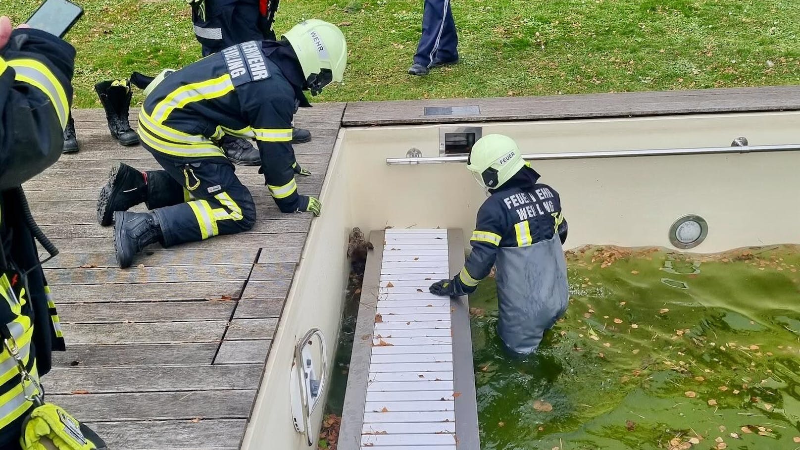 Die Florianis aus Klosterneuburg-Weidling rückten aus, um das Leben des Tieres zu retten.