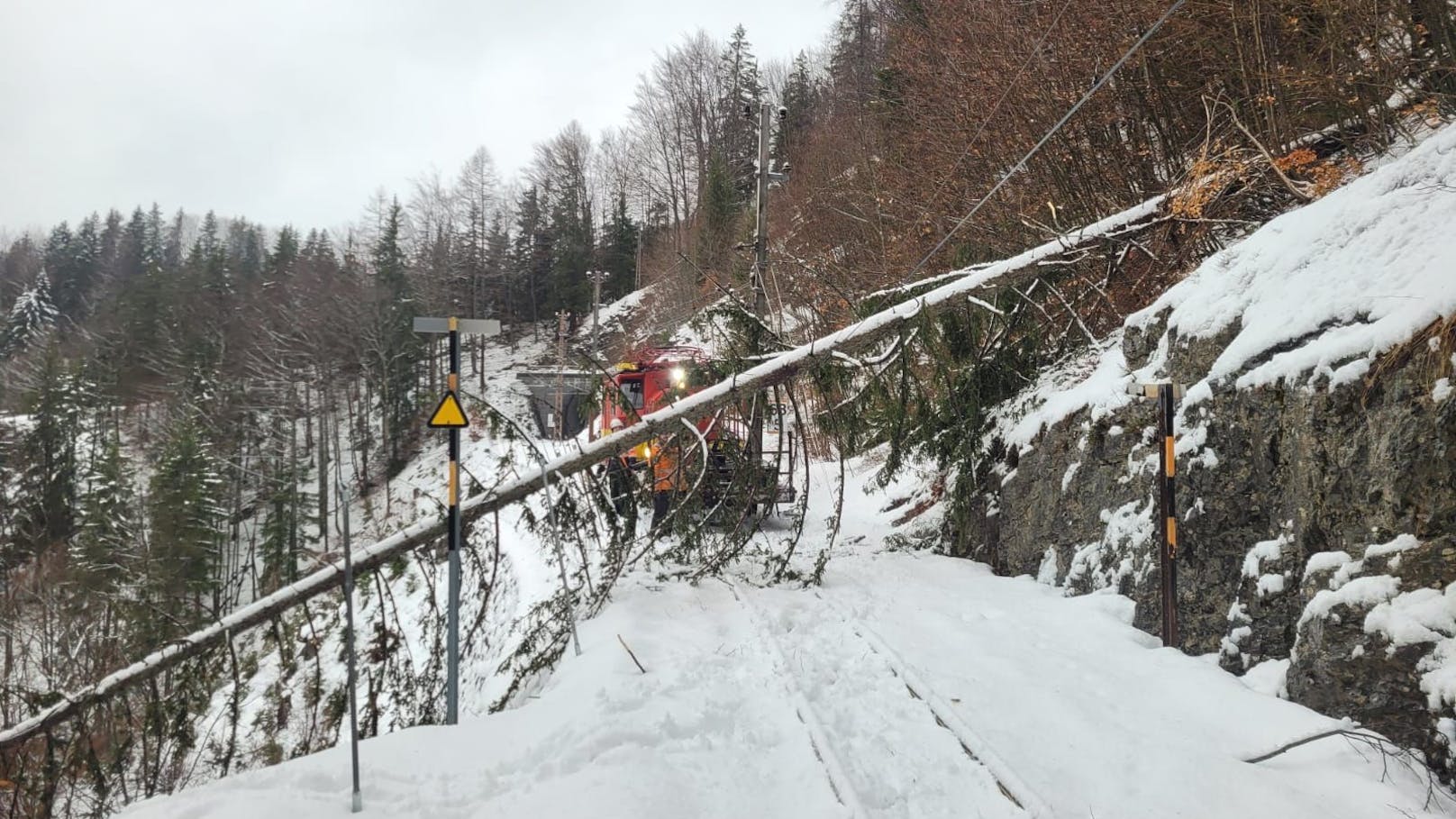 Die Niederösterreich Bahnen rechnen mit einer Streckensperre über mehrere Wochen.