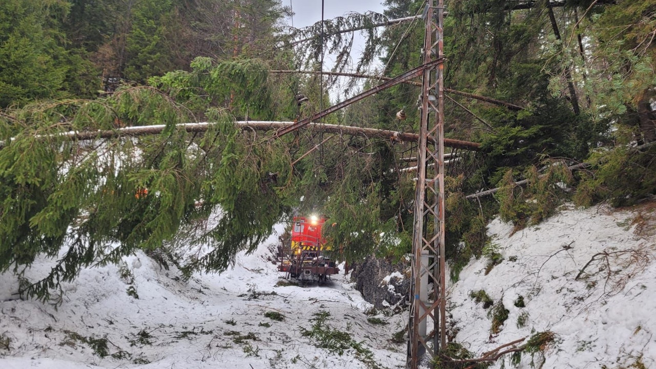 Heute.at - 80 Bäume umgestürzt! Diese Zugstrecke ist nun gesperrt