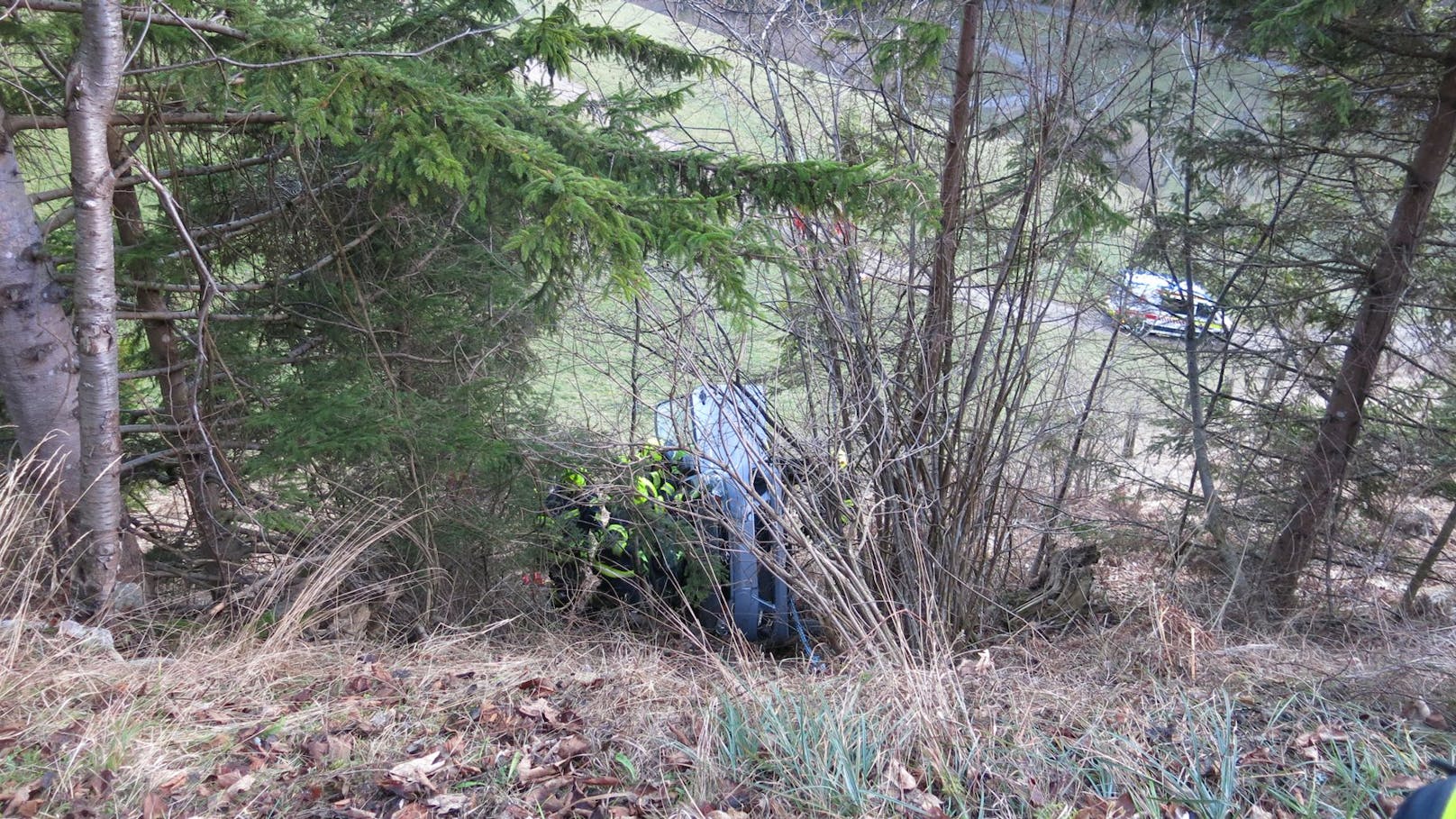 Die Lenkerin stürzte mit ihrem Wagen fünf Meter in ein Waldstück.       