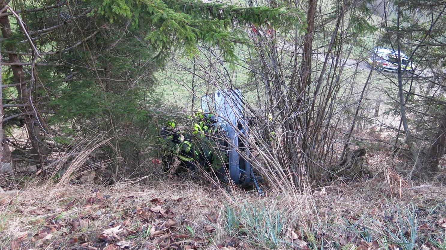 Die Lenkerin stürzte mit ihrem Wagen fünf Meter in ein Waldstück.       
