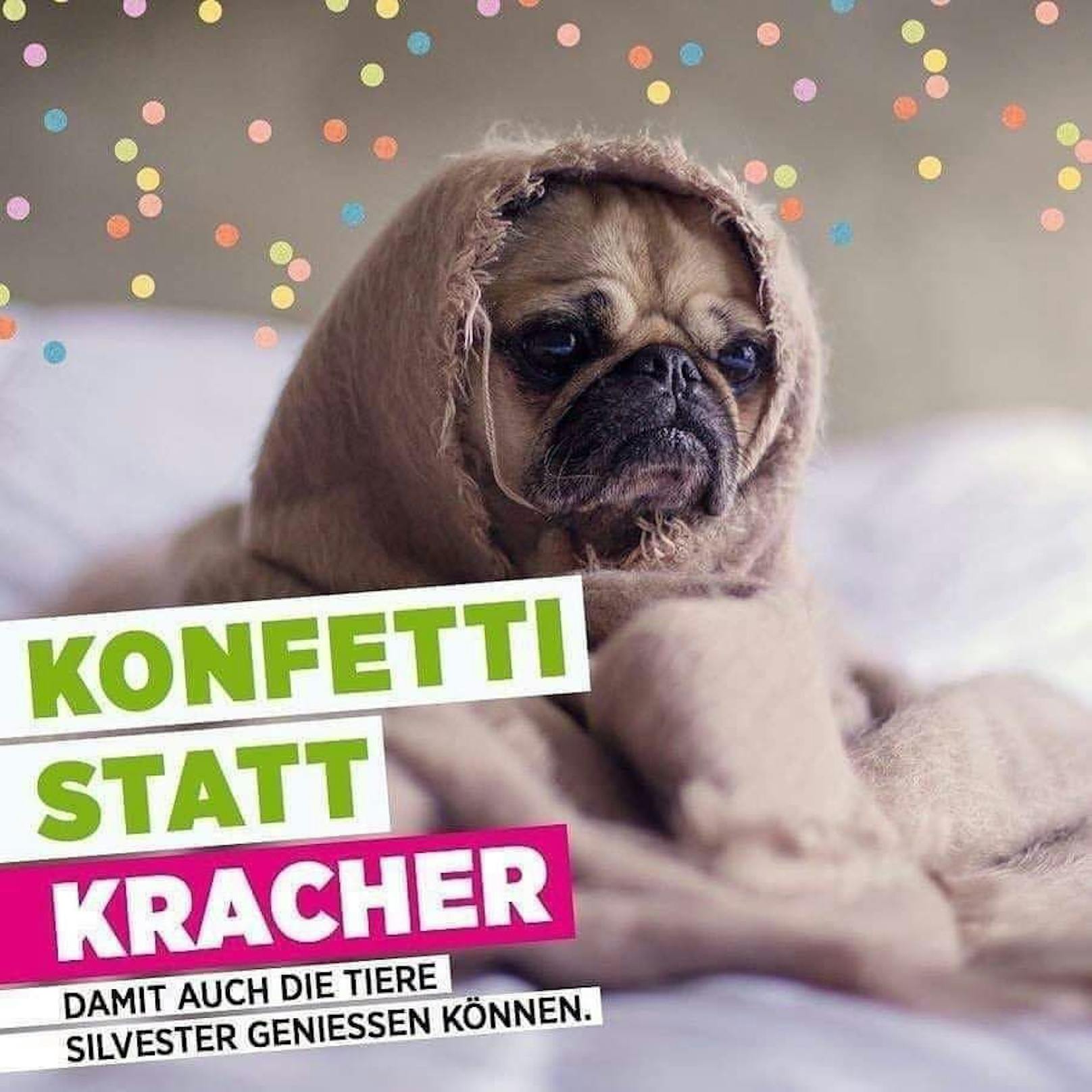 Die Grünen NÖ sprechen sich für ein Silvester ohne Kracher aus.