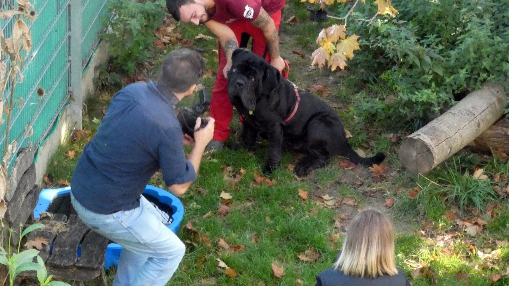 Die Tiere, die schon seit längerem im Tierheim sind, wurden in Szene gesetzt.