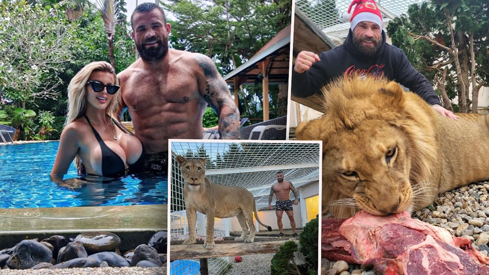 MMA-Kämpfer hält sich Löwen, Tiger und Haie im Haus