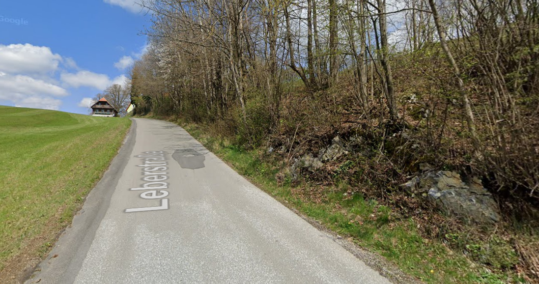 In Leber kam eine Autolenkerin bei einem Unfall ums Leben.