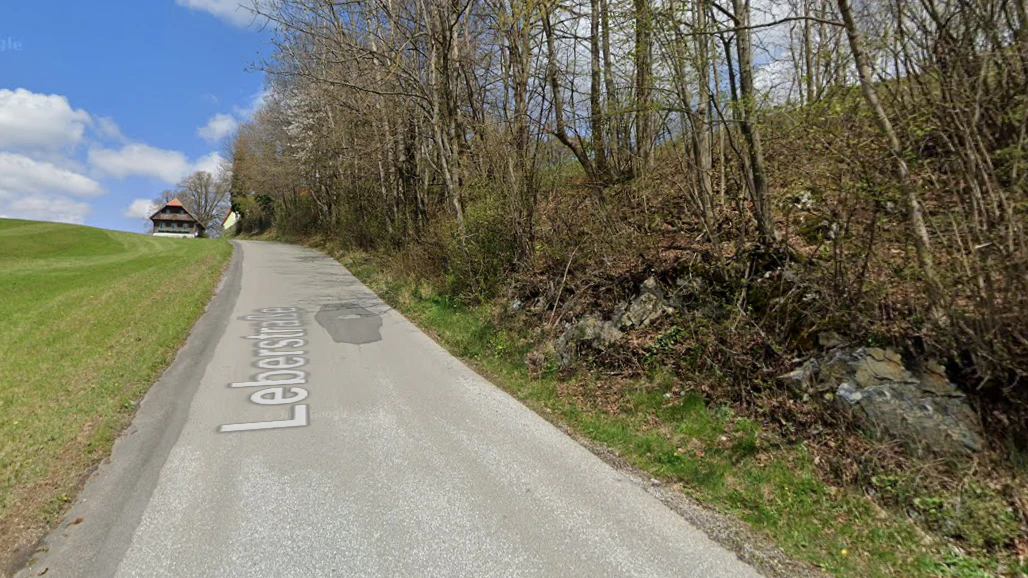 In Leber kam eine Autolenkerin bei einem Unfall ums Leben.