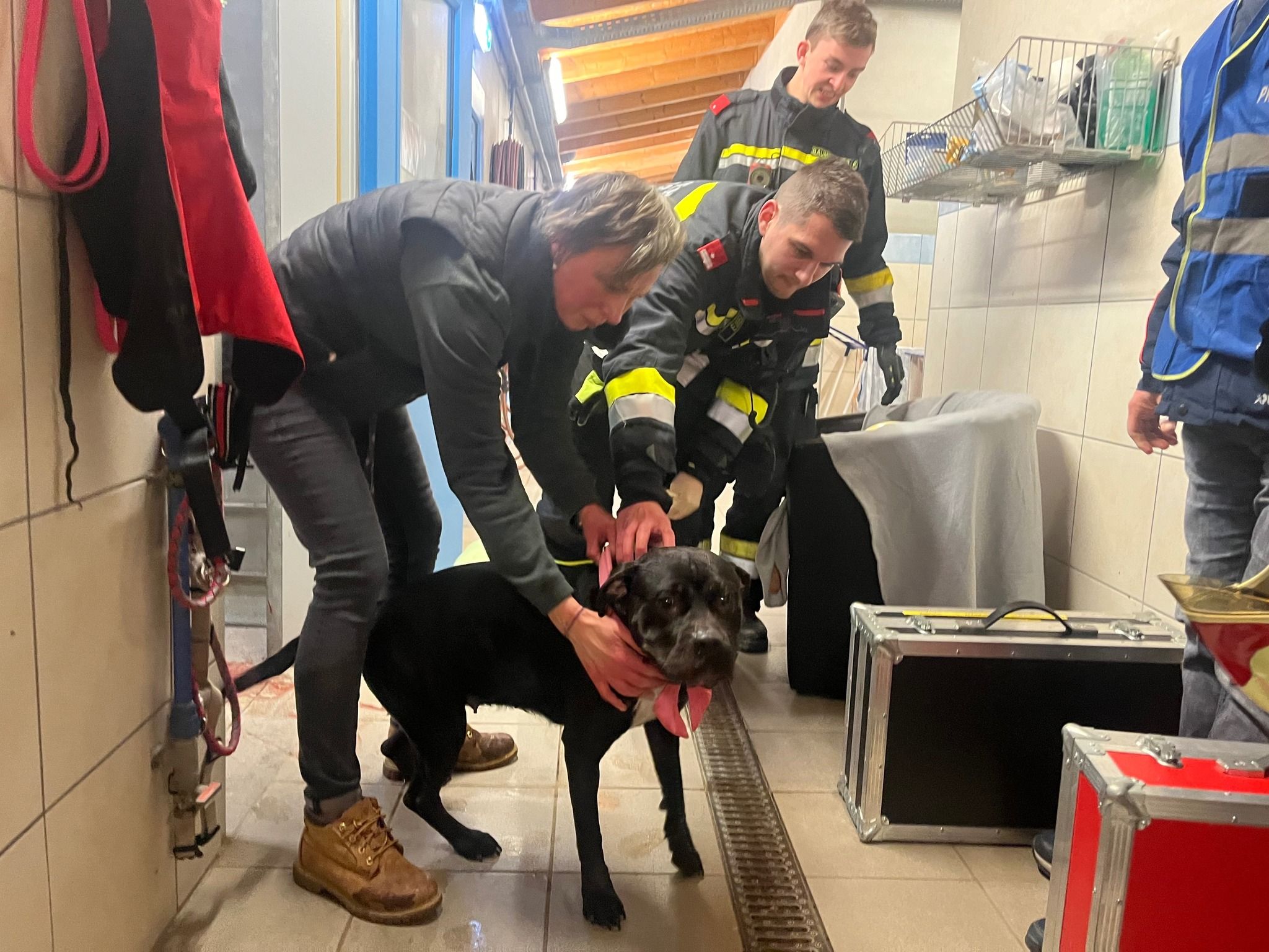 Das Team des Tierheims und die Feuerwehr kamen Kyra zu Hilfe. Sie wurde umgehend tierärztlich versorgt.