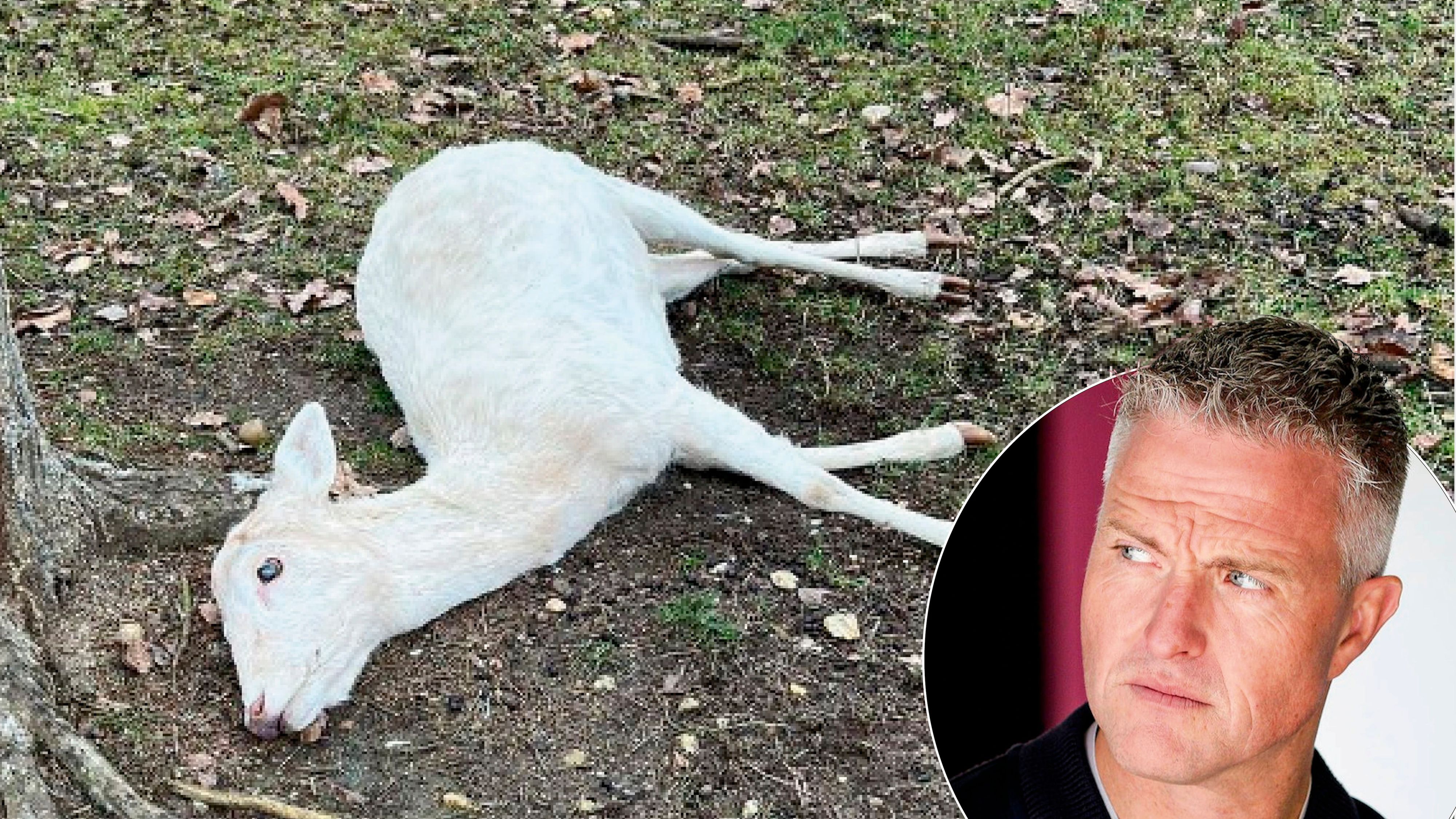 Ralf Schumacher erhebt schwere Vorwürfe