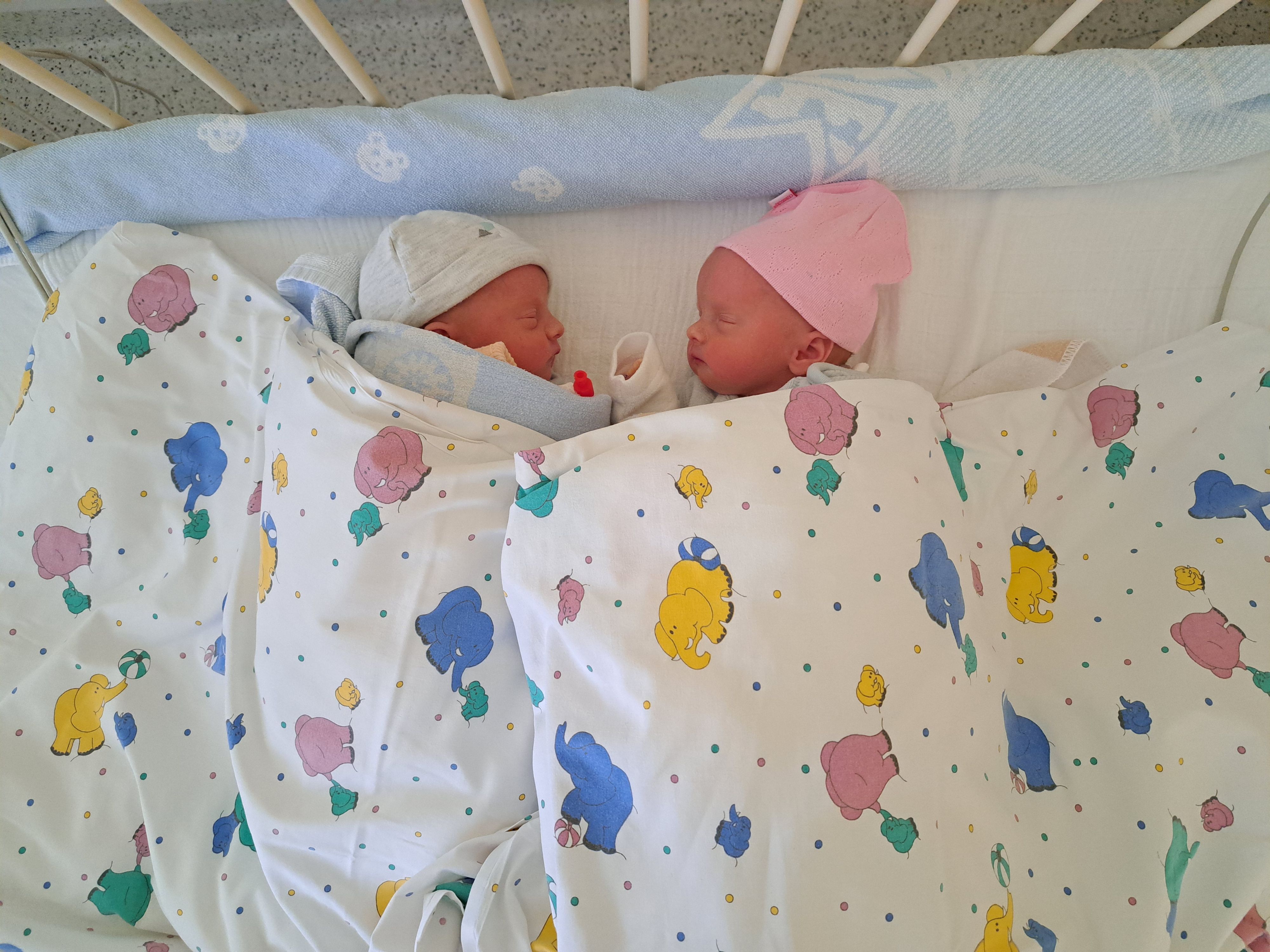 Neujahrs-Zwillinge im Tullner Spital: Anna und Alice