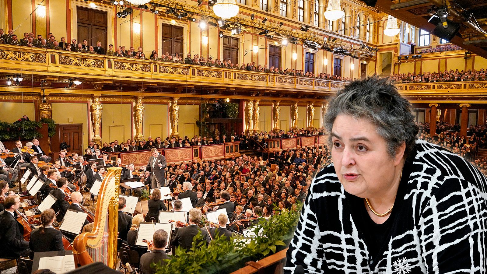 Schimpft über den Radetzky-Marsch beim Neujahrskonzert: Eva Blimlinger von den Grünen.