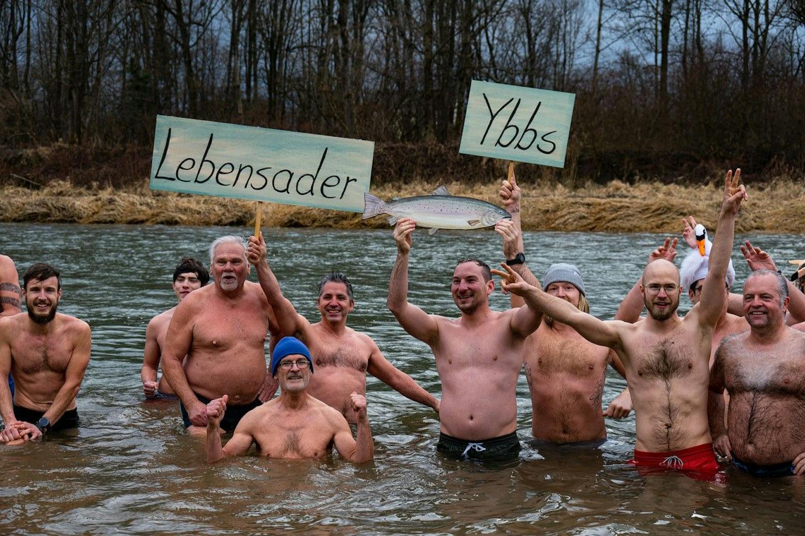 Am Dreikönigstag werfen sich kälteresistente Schwimmer in die eiskalte Ybbs.