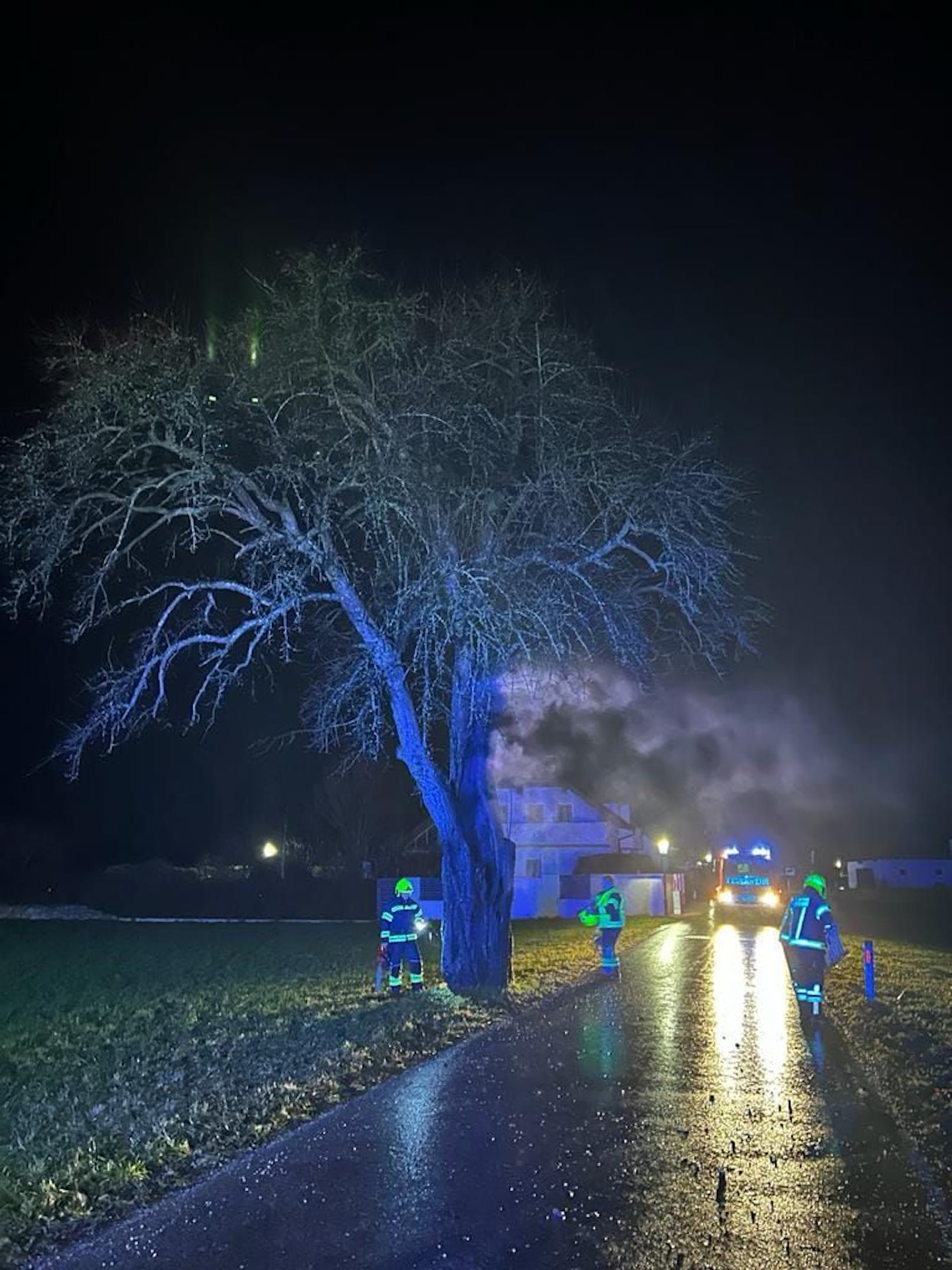 Baum stand in Brand - Feuerwehr im Einsatz