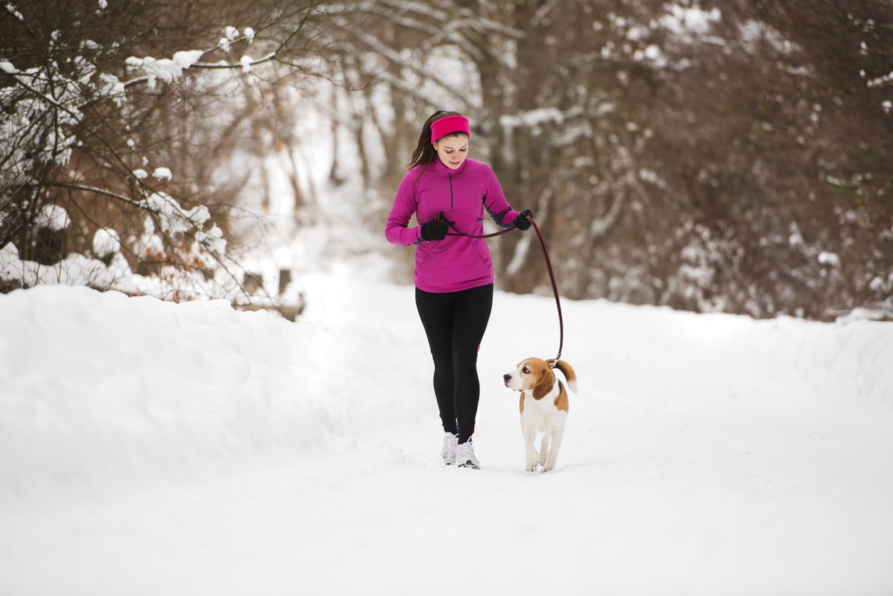 Der Hund im Winterwald sollte auf die Wildtierwelt Rücksicht nehmen können. 