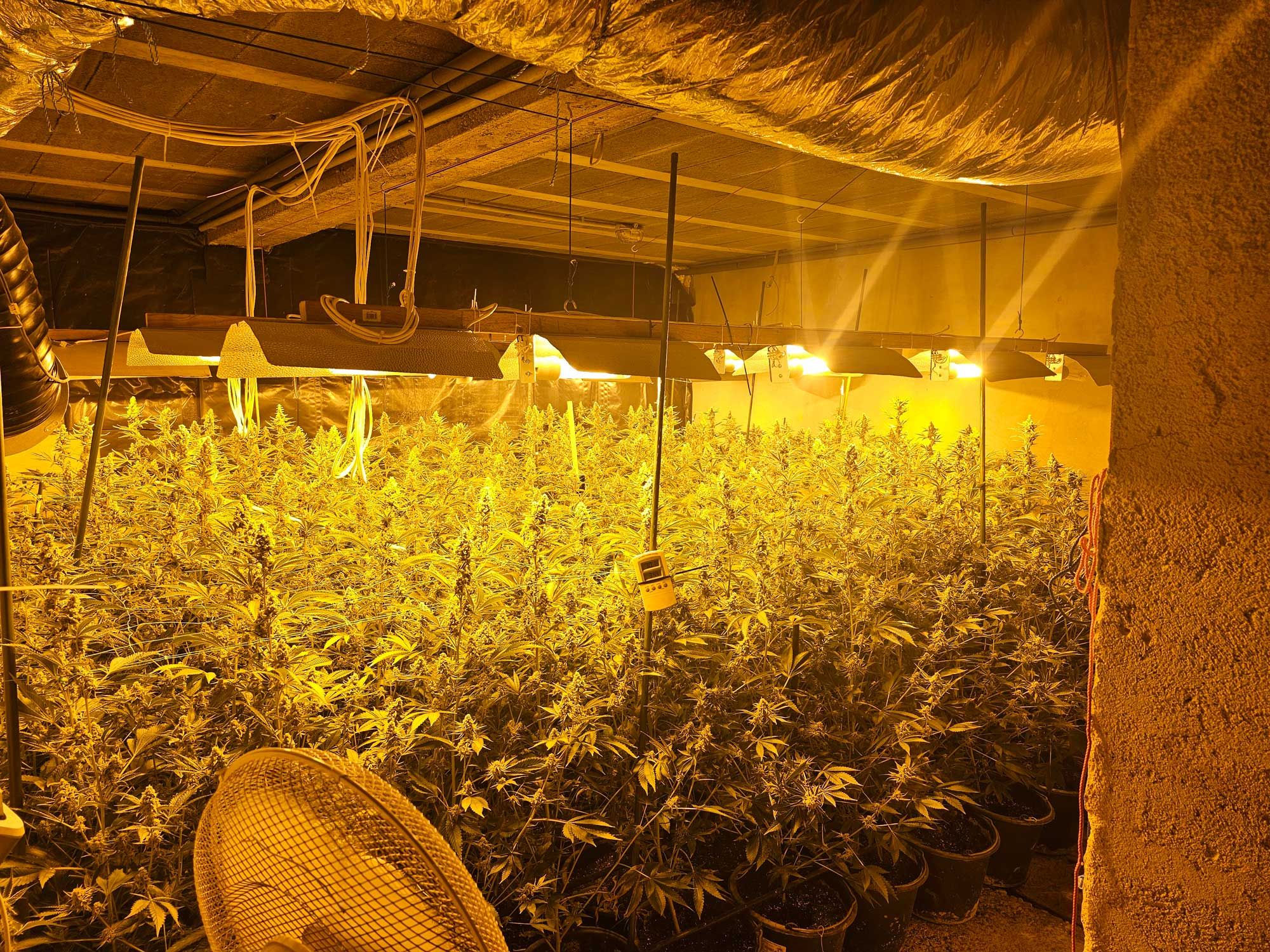 Schlag gegen Drogenring